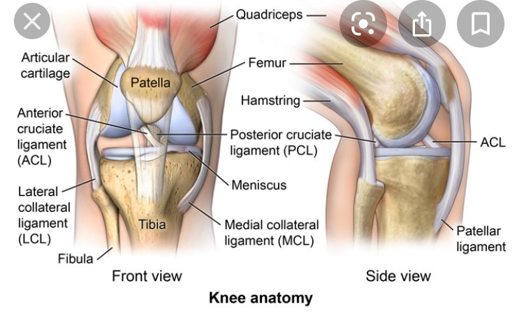 Knee sliding out clearance of place