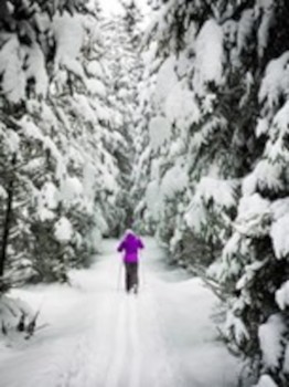Cold can motivative – Get Healthy, Get Outside! | December Blog Part Four