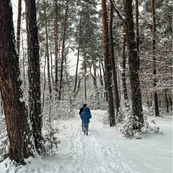 Making Time for Movement Before Christmas