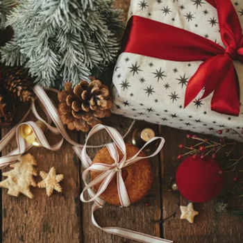 Yuletide Greetings from Astral Fitness